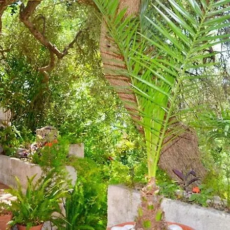 Martiva Appartement
